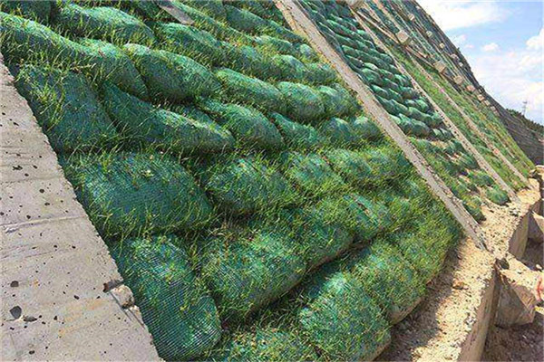 植生袋绿化边坡防护的技术原理